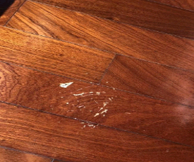 油漆榴莲APP下载污